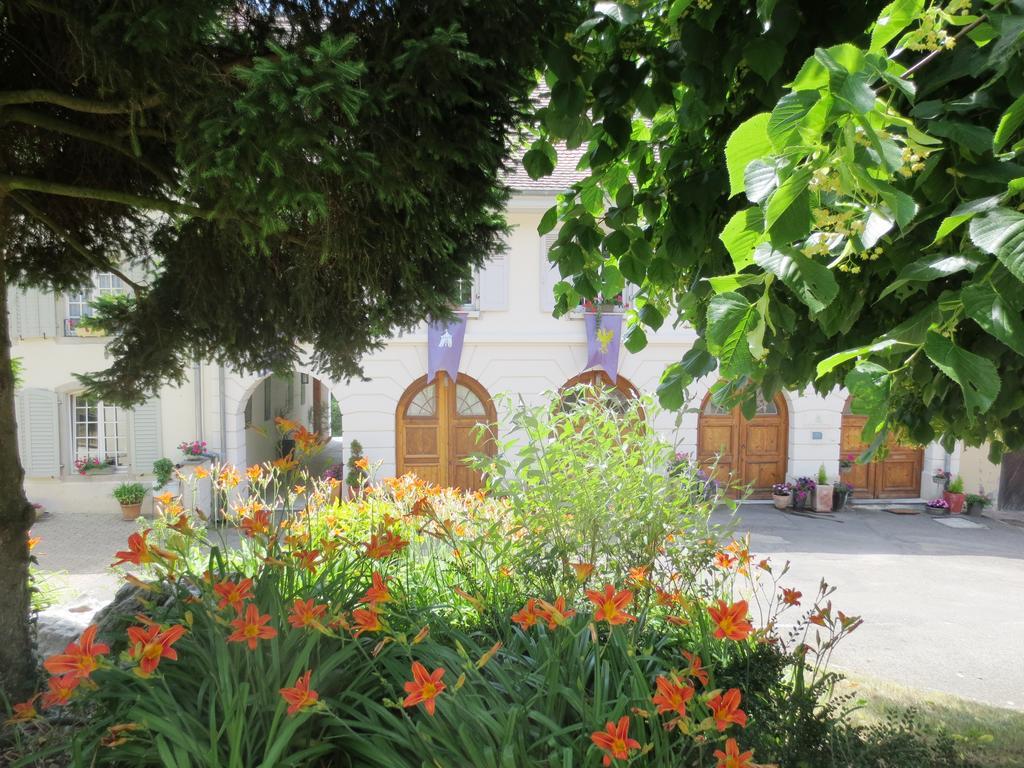 La Maison Des Fontaines D'Alsace Ferrette Quarto foto