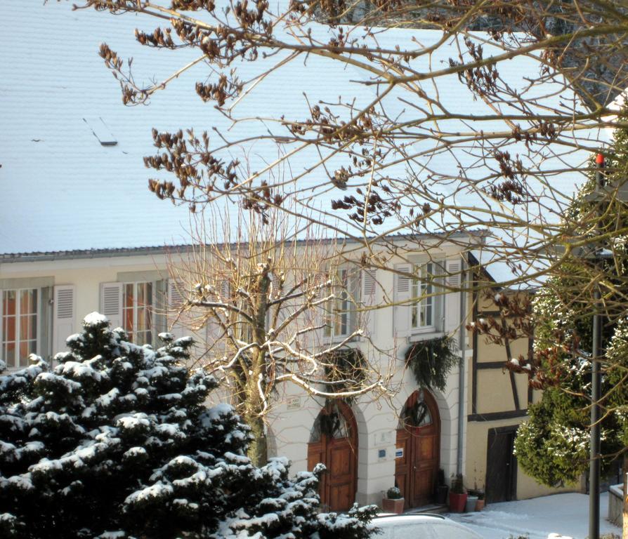 La Maison Des Fontaines D'Alsace Ferrette Quarto foto