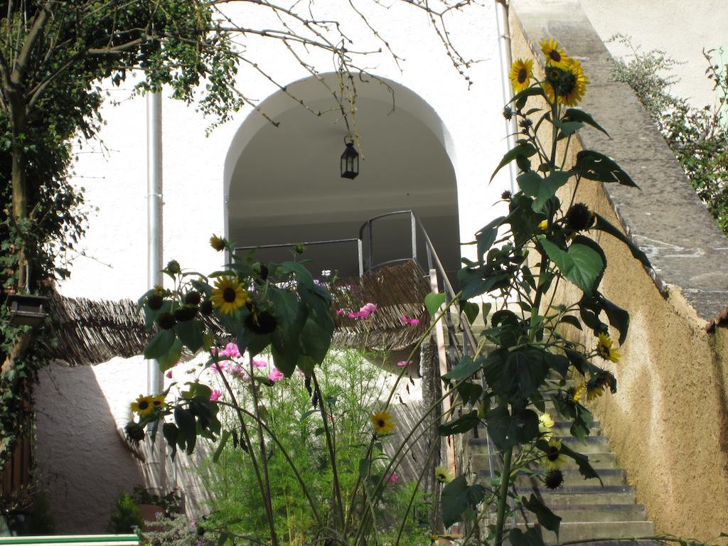 La Maison Des Fontaines D'Alsace Ferrette Exterior foto